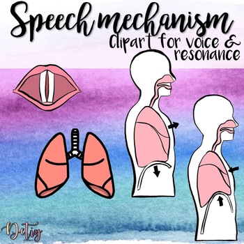 Preview of Speech Mechanism Clipart for Voice & Resonance