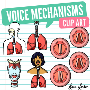 Preview of Speech Mechanisms for Voice Clip Art - Speech Therapy, Voice Therapy, Nodules