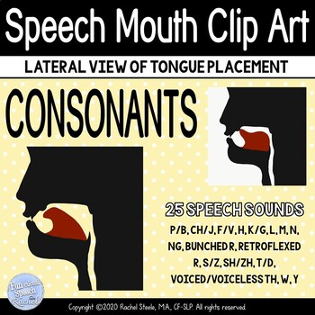Preview of Speech Sound Mouth Clip Art - CONSONANTS Lateral view