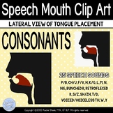 Speech Sound Mouth Clip Art - CONSONANTS Lateral view