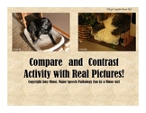 Speech Therapy: Compare and Contrast with Real Pictures