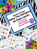 Speech Therapy Name the Category Group 30 flash cards 3 by 6 size