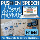Speech Therapy Push In Activity Self Contained Classrooms: