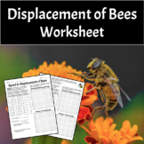 Speed & Displacement of Bees Worksheet (Speed, Displacemen