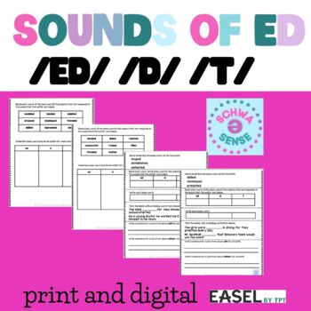 Preview of Spelling Options 3 Sounds of ED  DIGITAL and PRINT
