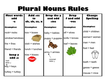 Preview of Spelling Plural Nouns