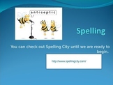 Spelling Powerpoint- Rules and Reminders