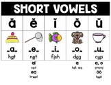 Spelling & Sound Posters Vowel Consonant Blends Digraphs D