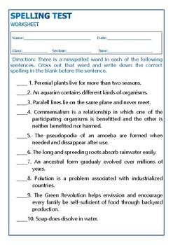 Preview of Spelling Test Activity Worksheet