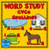 Word Study CVCe spelling