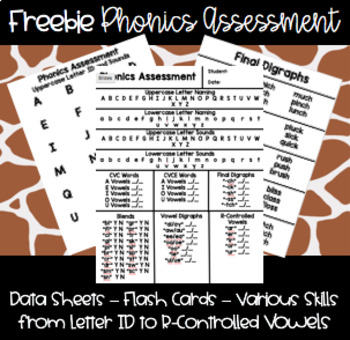 Preview of FREEBIE Phonics Assessment