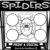 Spider Activities | All About Spiders | Easel Activity Dis