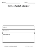 Spider Activity Page - Science and Literacy