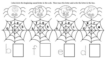 Spider Beginning Sounds by Accommodating Activities | TpT