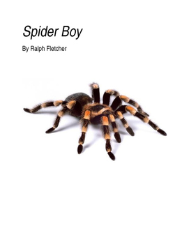 Preview of Spider Boy by Ralph Fletcher