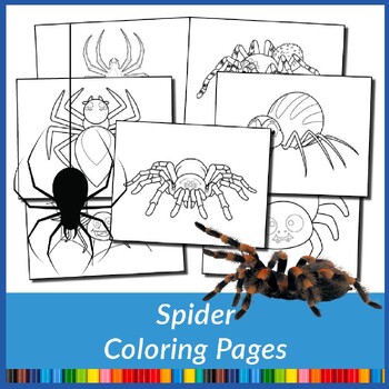 Preview of Spider Coloring Pages (PDF Printables)