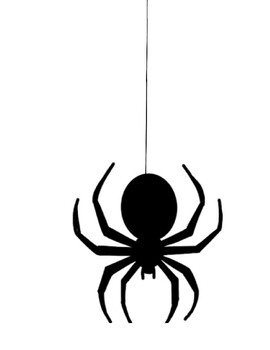 Preview of Spider (Digital, Printable)
