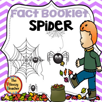 Preview of Spider Fact Booklet | Nonfiction | Comprehension | Craft