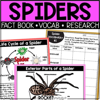 Preview of Spider Facts | Arachnids | Arthropods