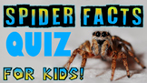 Spider Facts Quiz!
