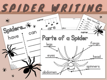 Preview of Spider Informative Writing  | Have Can Are | Labeling | Life Cycle | Prompt |