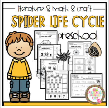 Preview of Spider Life Cycle Literature and Math plus  Sequencing Craft