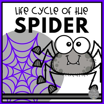 Preview of Spider Life Cycle