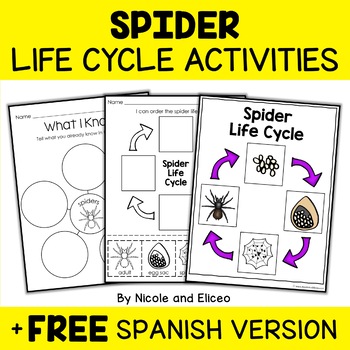 Preview of Spider Life Cycle Activities + FREE Spanish