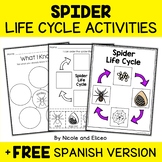 Spider Life Cycle Activities + FREE Spanish