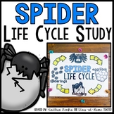 Spider Life Cycle | Centers, Activities and Worksheets | H
