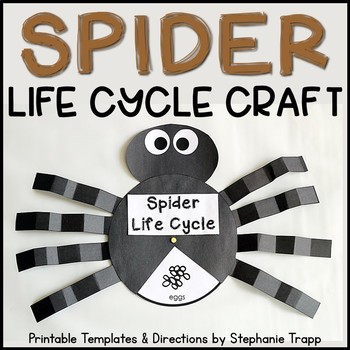 Preview of Spider Life Cycle Craft