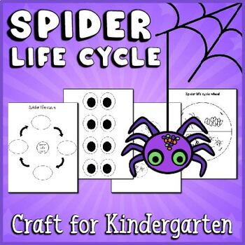Preview of Spider Life Cycle Craft for Kindergarten: Spider Science Craftivity & Activities