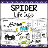 Spider Life Cycle | Fall Science | Preschool Pre-K