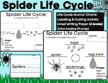 Preview of Spider Life Cycle Labeling and Writing Prompt with Leveled Lined Paper