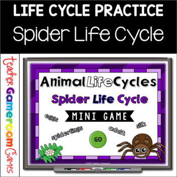 Preview of Spider Life Cycle Mini Powerpoint Game