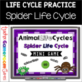 Spider Life Cycle Mini Powerpoint Game