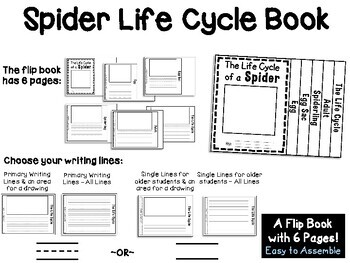 Life Cycle of a Spider Tab Flip book - Classful
