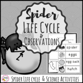 Spider Life Cycle Science