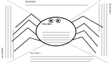 Spider Main Idea