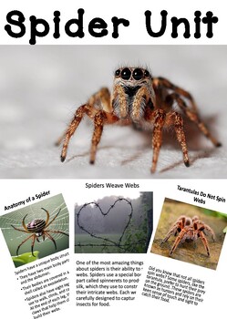 Preview of Spider Nonfiction Unit with Itsy Bitsy Spider Nursery Rhyme
