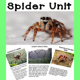 Spider Nonfiction Unit with Itsy Bitsy Spider Nursery Rhyme