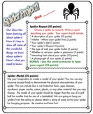 Spider Report Rubric