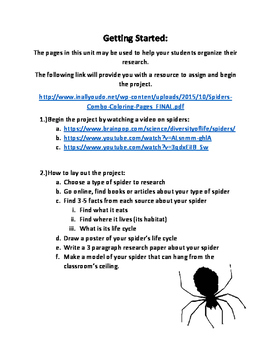 spider essay for class 7