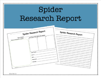 Preview of Spider Research Report