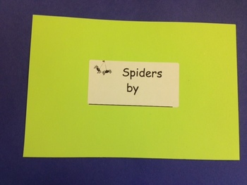 Preview of Spider "Sight Word" Reader