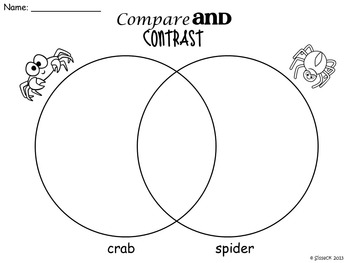 Spider Study by Tanya Grady | TPT