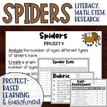 Preview of Spider Themed Makerspace Project Based Learning and Enrichment Task Cards