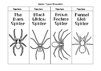 Spider Types Bracelets