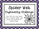 Spider Web: Engineering Challenge Project ~ Great STEM Activity!