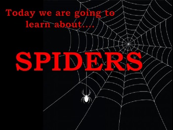 Preview of Spider Week PowerPoint KWL Preschool Kindergarten Response